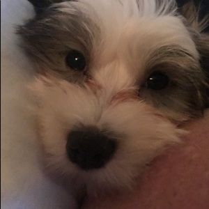 Meet your Posher, Kevin